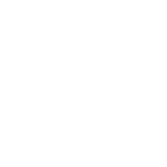 MedMinds Academy